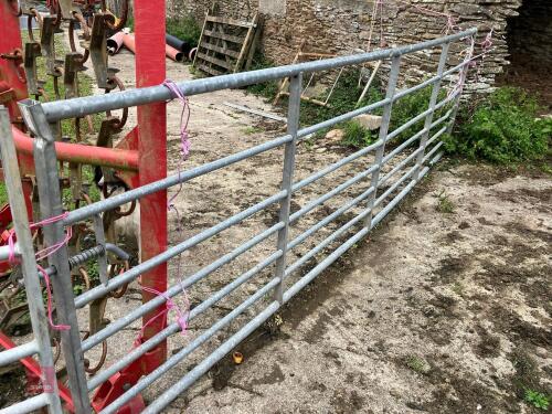 IAE GALVANISED 13' GATE
