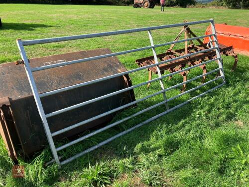 RITCHIE 10' GALVANISED FIELD GATE