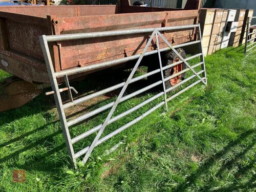 10' GALVANISED YARD GATE