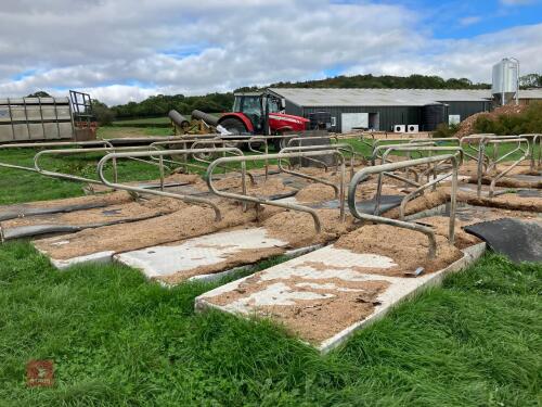 29 PORTABLE COW CUBICLES