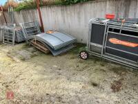 RITCHIE TROMBONE SHEEP HANDLING SYSTEM - 95