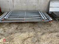 RITCHIE TROMBONE SHEEP HANDLING SYSTEM - 97