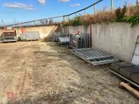 RITCHIE TROMBONE SHEEP HANDLING SYSTEM - 100