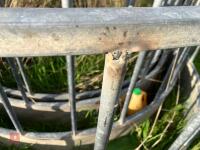 SHEEP RING FEEDER (1) - 10