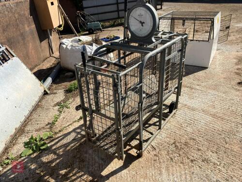 IAE GALVANISED SHEEP WEIGH SCALES