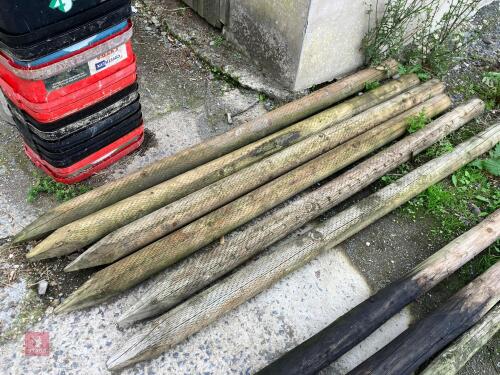 2 X 8' TANALISED STRAINER POSTS
