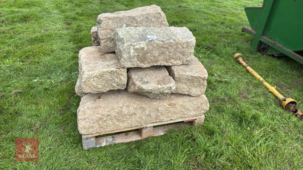 10 ASSORTED SIZED GRANITE QUIONS