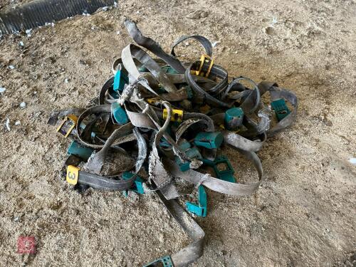 20 GEA COW COLLARS