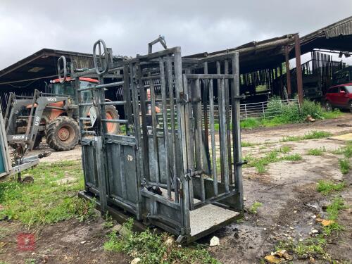 IAE CATTLE CRUSH WITH WEIGHT PLATFORM