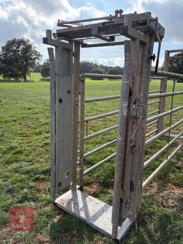BATEMAN 6' AUTO HEAD YOKE
