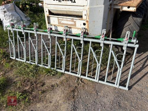 JOURDAIN SHEEP/ GOAT LOCKING YOKE