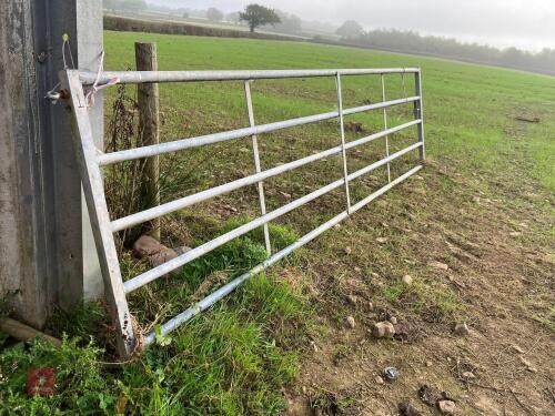 14' 6'' GALVANISED YARD GATE (1)