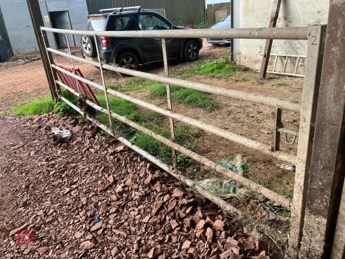 14' 6'' GALVANISED YARD GATE (2)