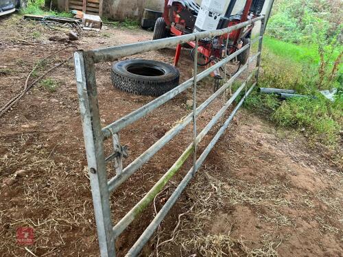 14' 6'' GALVANISED YARD GATE (5)