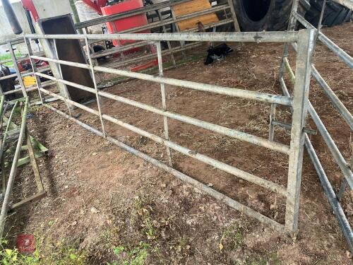 14' 6'' GALVANISED YARD GATE (6)