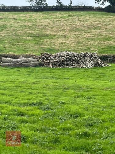 LARGE AMOUNT OF WOOD