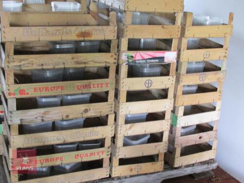 50 X WOODEN STACKING TRAYS