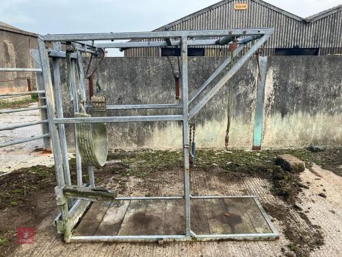 GALVANISED FOOT TRIMMING CRUSH