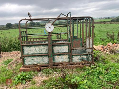 CATTLE CRUSH WITH WEIGH SCALES (S/R)
