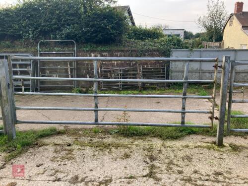 10' 10'' GALVANISED YARD GATE (2)
