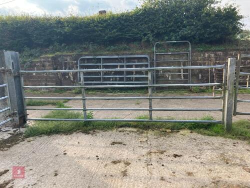 14 GALVANISED YARD GATE