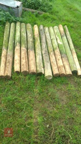 12 X 5'3'' BOND TIMBER POSTS