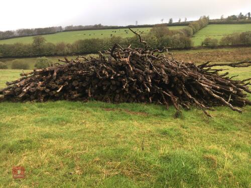 LARGE HEAP OF FIREWOOD TIMBER