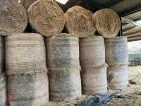 20 ROUND BALES OF 2026 HAY