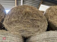 20 ROUND BALES OF 2026 HAY - 4