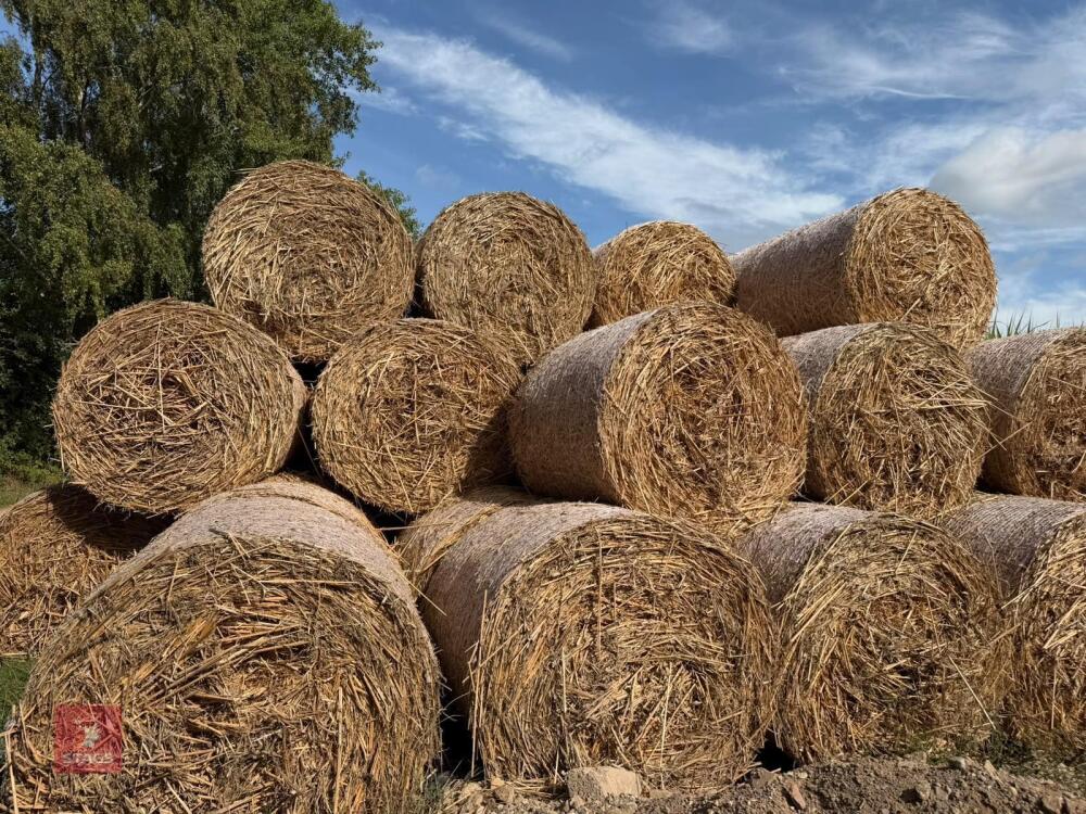 20 ROUND BALES OF MISCANTHUS