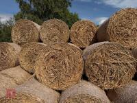 20 ROUND BALES OF MISCANTHUS - 2
