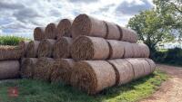 20 ROUND BALES OF MISCANTHUS - 3