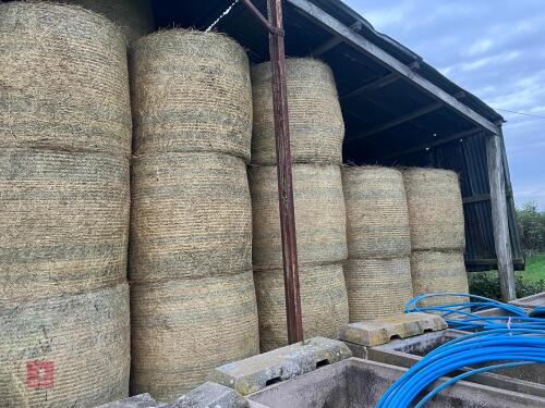 20 ROUND BALES OF 2026 HAY