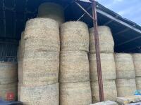 20 ROUND BALES OF 2026 HAY - 2