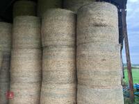 20 ROUND BALES OF 2026 HAY - 4