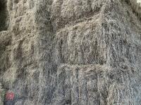 25 QUADRANT BALES OF 2026 HAY - 5