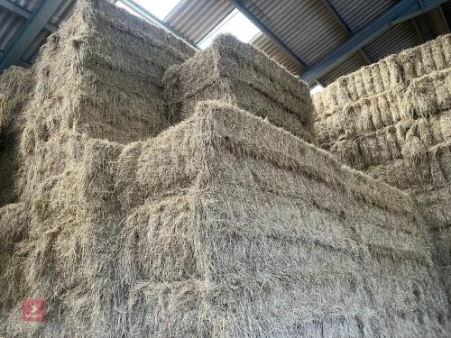 25 QUADRANT BALES OF 2026 HAY