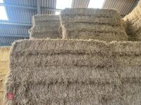 25 QUADRANT BALES OF 2026 HAY - 3