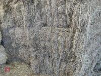 25 QUADRANT BALES OF 2026 HAY - 6