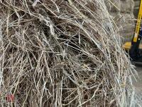 25 QUADRANT BALES OF 2026 HAY - 7