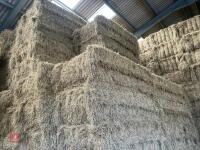 20 QUADRANT BALES OF 2026 HAY