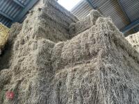 20 QUADRANT BALES OF 2026 HAY - 4