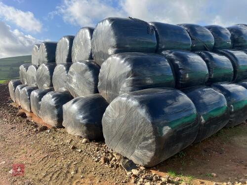 25 ROUND BALES OF 2026 SILAGE