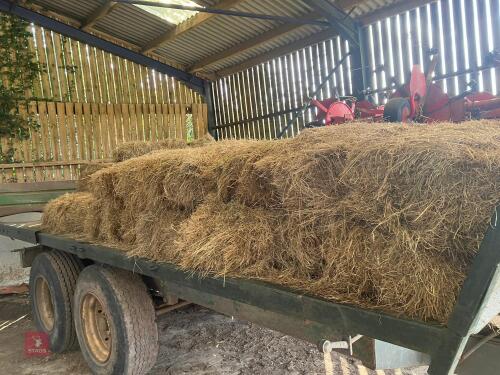 32 CONVENTIONAL BALES OF 2024 HAY