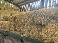 32 CONVENTIONAL BALES OF 2024 HAY - 3