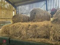 32 CONVENTIONAL BALES OF 2024 HAY - 4