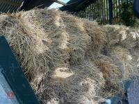 32 CONVENTIONAL BALES OF 2024 HAY - 5