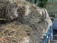 32 CONVENTIONAL BALES OF 2024 HAY - 6