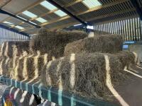 32 CONVENTIONAL BALES OF 2024 HAY - 7