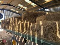 32 CONVENTIONAL BALES OF 2024 HAY - 8